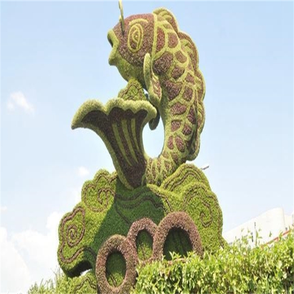 五色草 动物系列 孔雀