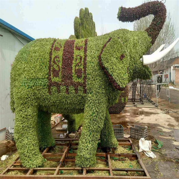 五色草景观