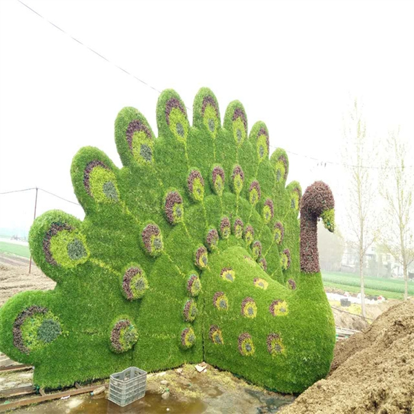 五色草造型对现代建筑及人们生活的积极影响