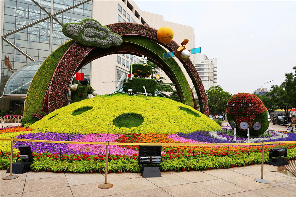 五色草景观