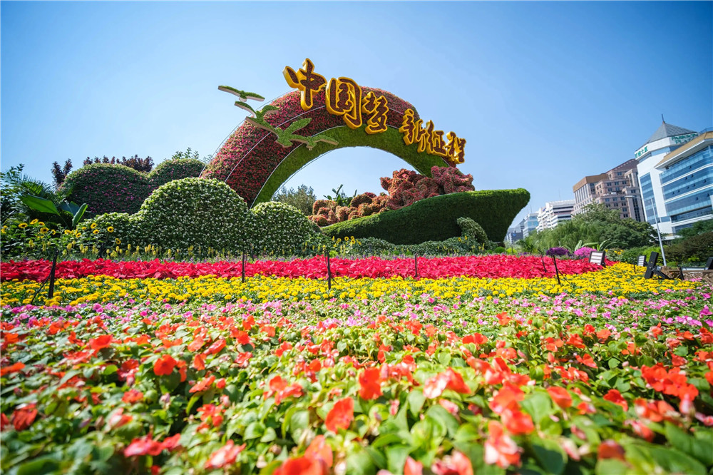 五色草景观